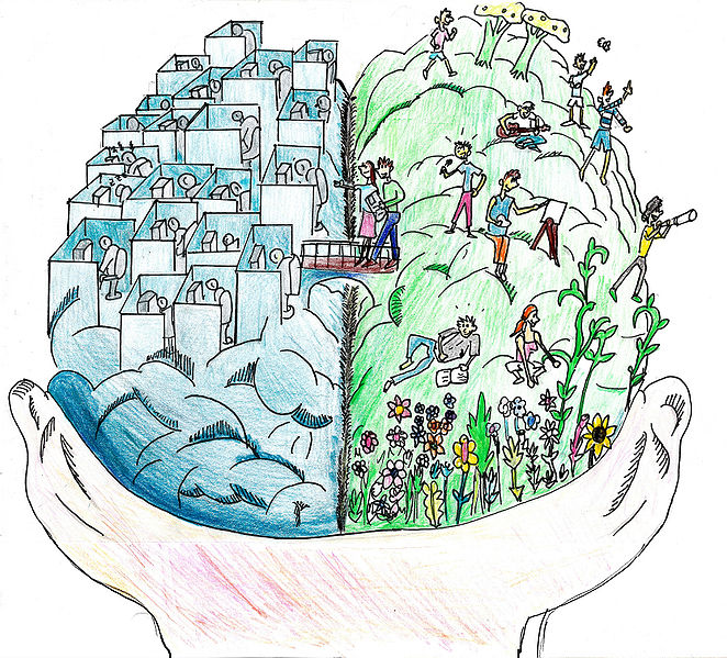 Fichier:Cerveau complet90 .jpg