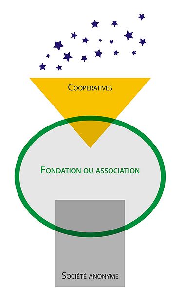 Fichier:Organigrame 1 final 1.jpg